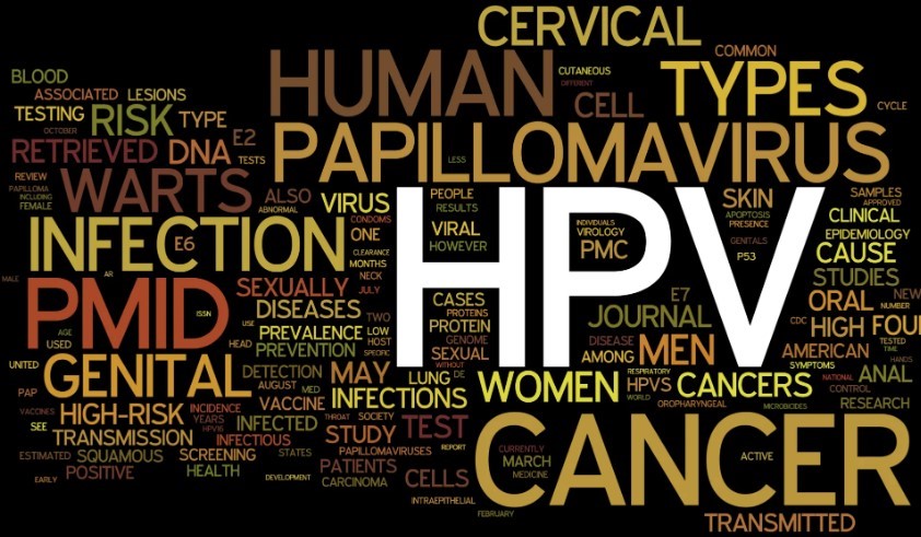 ویروس‌های پاپیلومای انسانی(Human Papillomavirus)